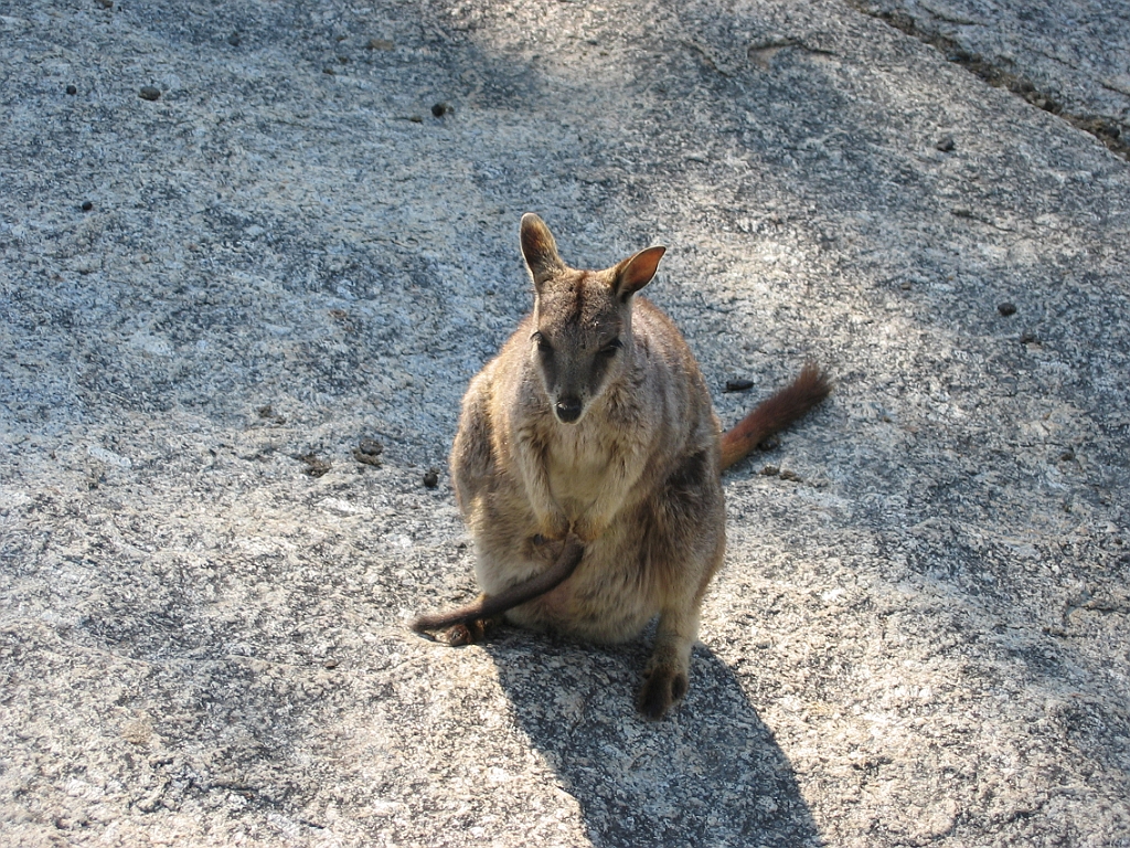 081 Granite Gorge.jpg